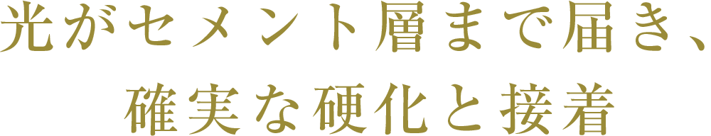 光がセメント層まで届き、確実な硬化と接着